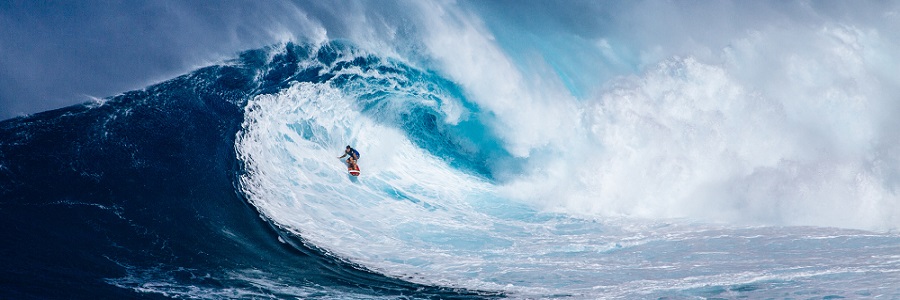 Surfistas de piscina