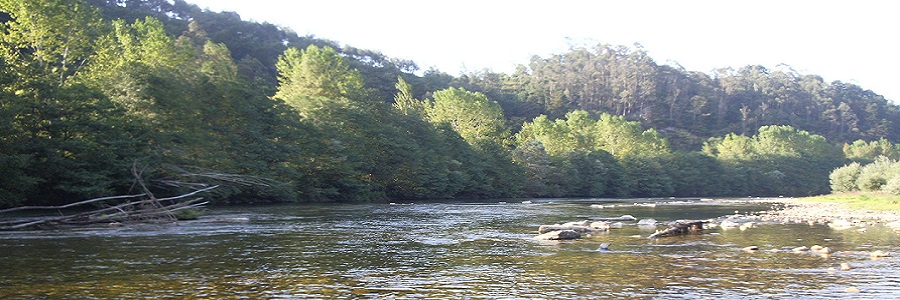 Río Narcea