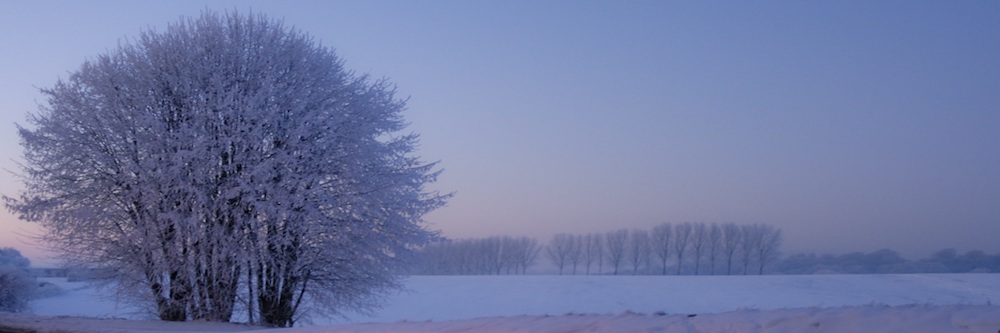 El reflejo de la nieve